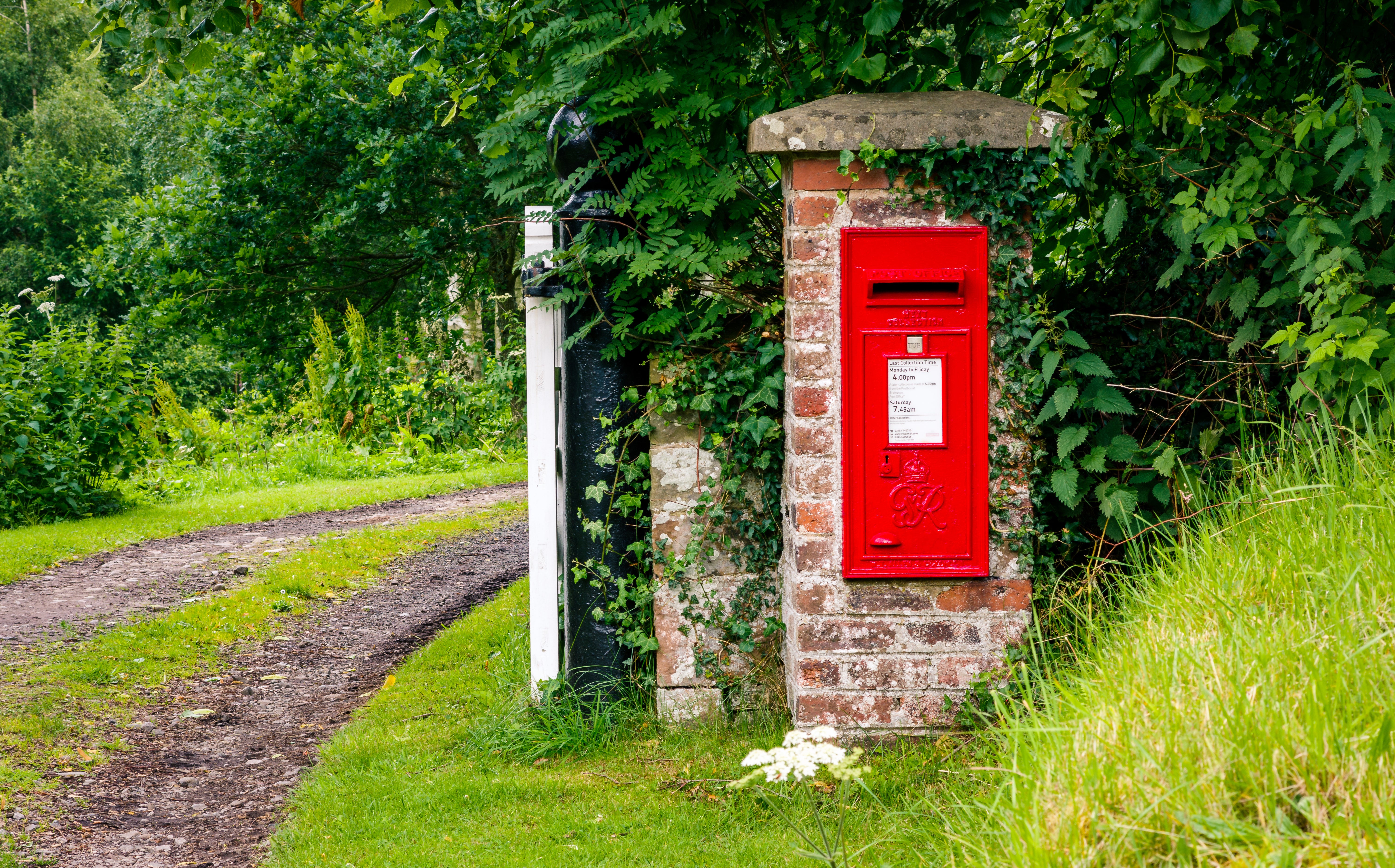 How to Find a Pen Pal (and Keep One)